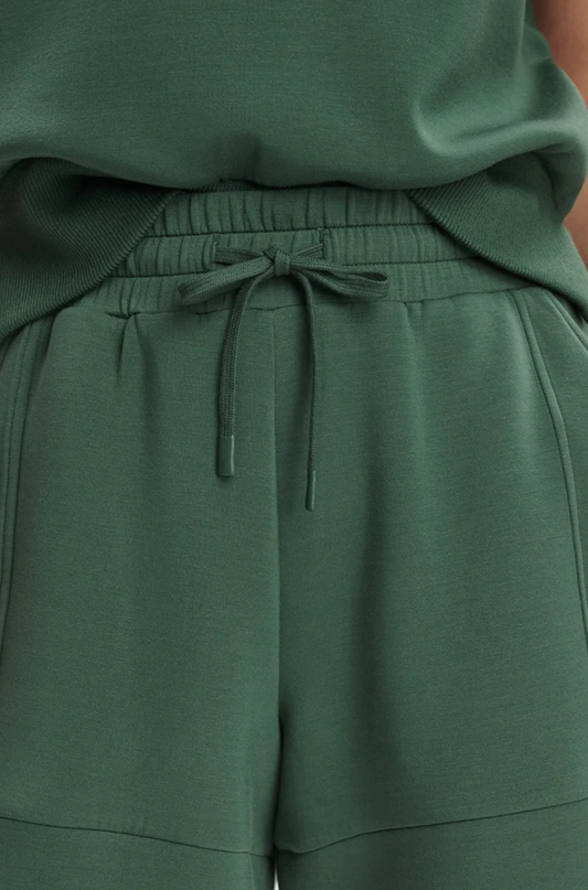 Atrium High Rise Shorts 4.5 in Cilantro